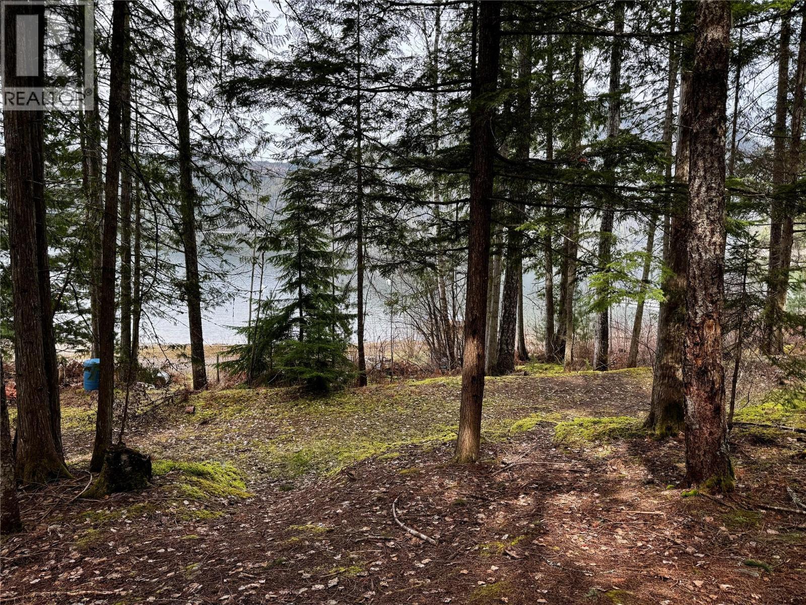 Lot 9 Pete Martin Bay, Sicamous, BC - Outdoor With View