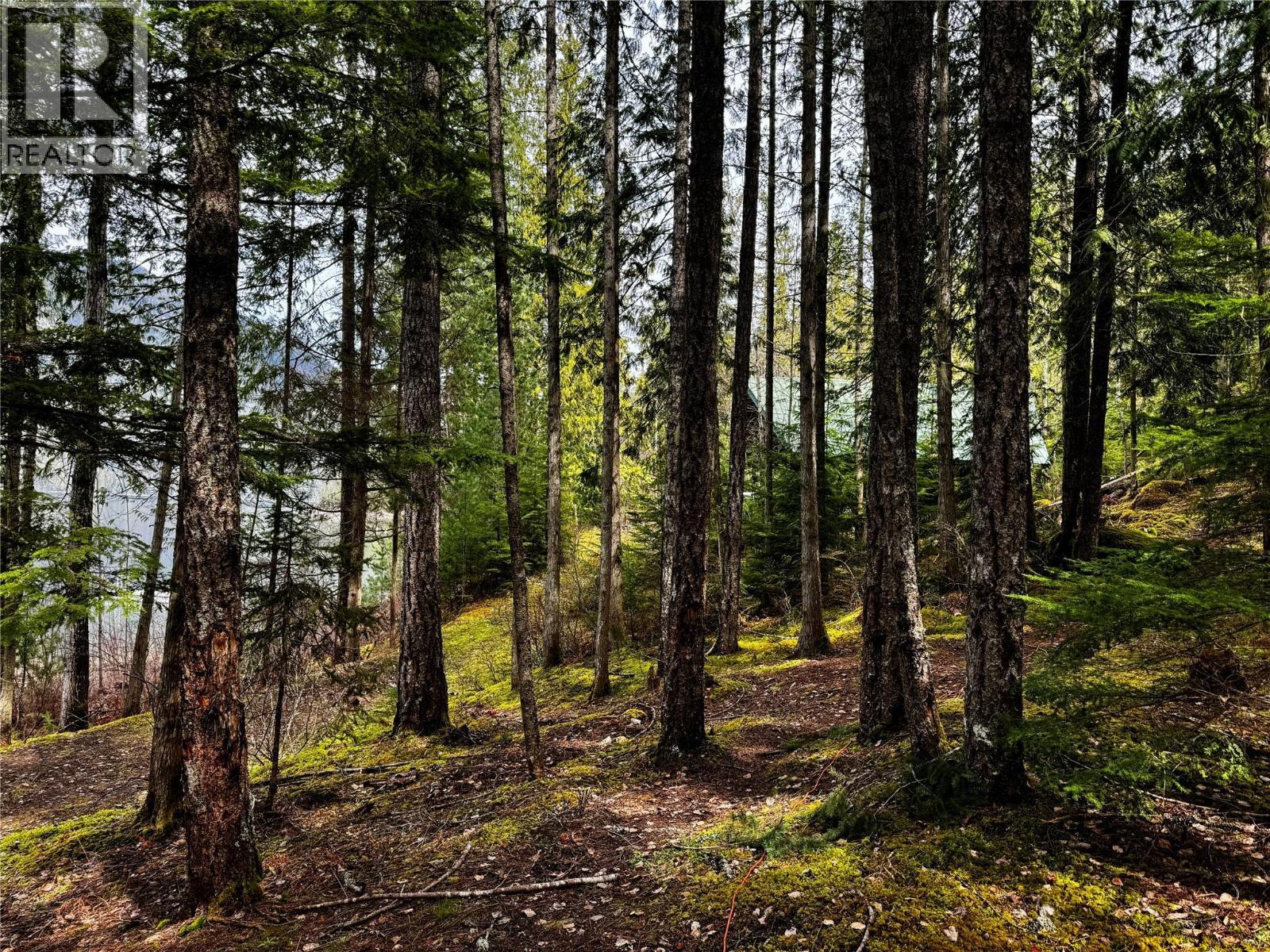 Lot 9 Pete Martin Bay, Sicamous, BC - Outdoor With View