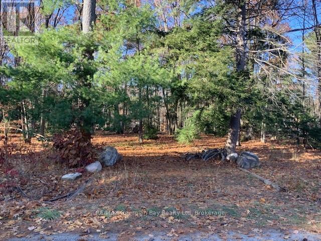 Lot 659 Wolfe Trail Nw, Tiny, ON