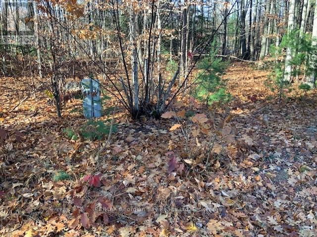 Lot 659 Wolfe Trail Nw, Tiny, ON