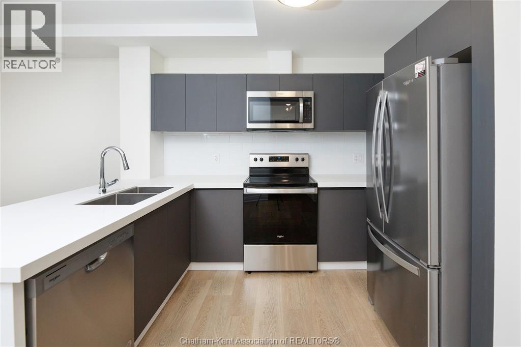 3340 Stella Crescent Unit# 122, Windsor, ON - Indoor Photo Showing Kitchen With Double Sink With Upgraded Kitchen