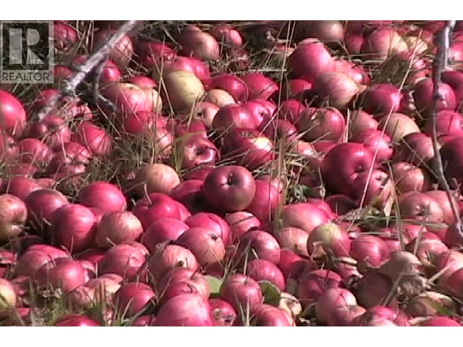 408 Grandview Bench Road, Grindrod, BC - Indoor