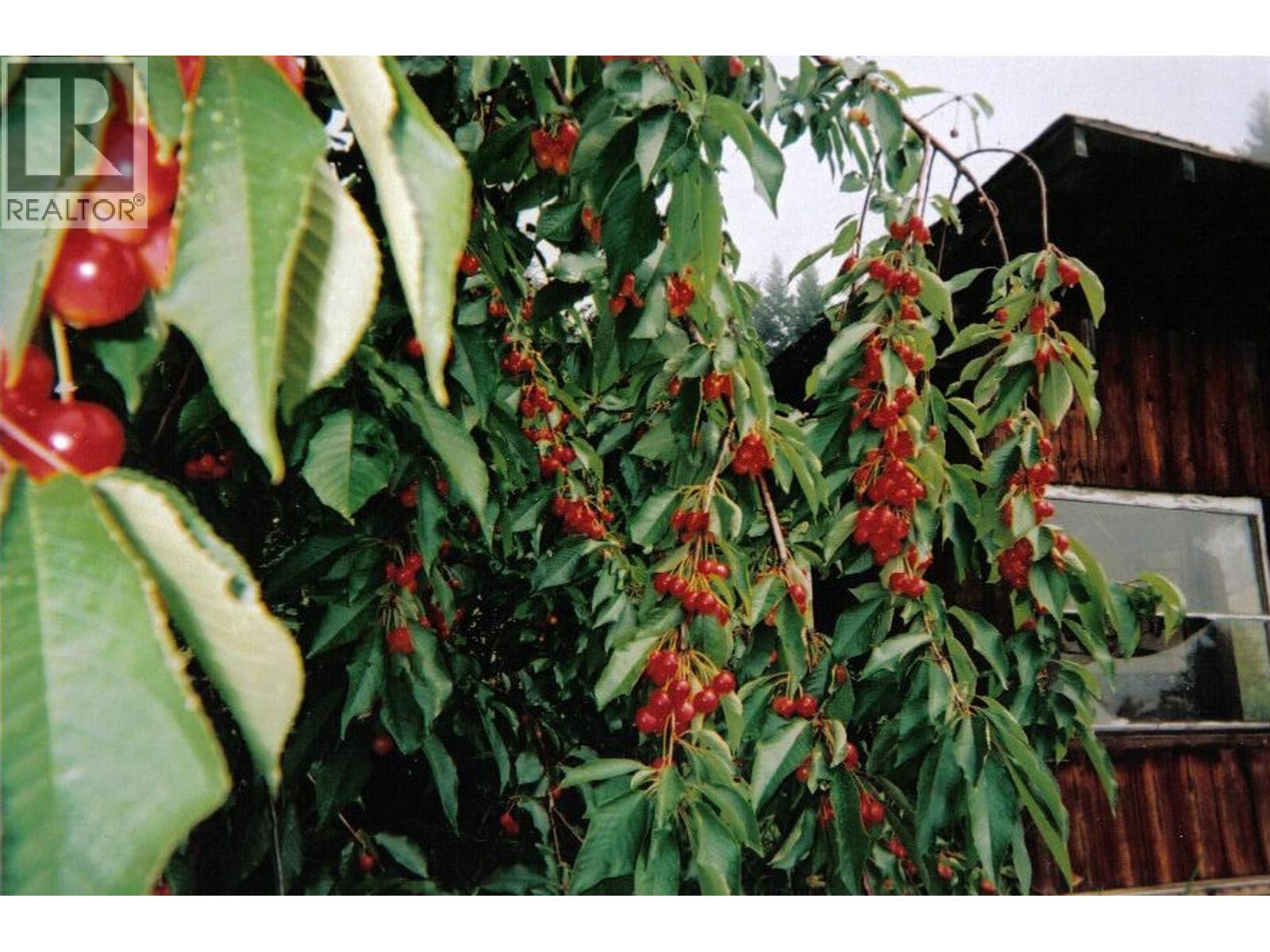 408 Grandview Bench Road, Grindrod, BC - Outdoor