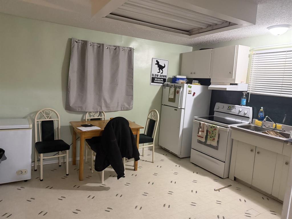 354 P.T.H. #83 Highway, Benito, MB - Indoor Photo Showing Laundry Room