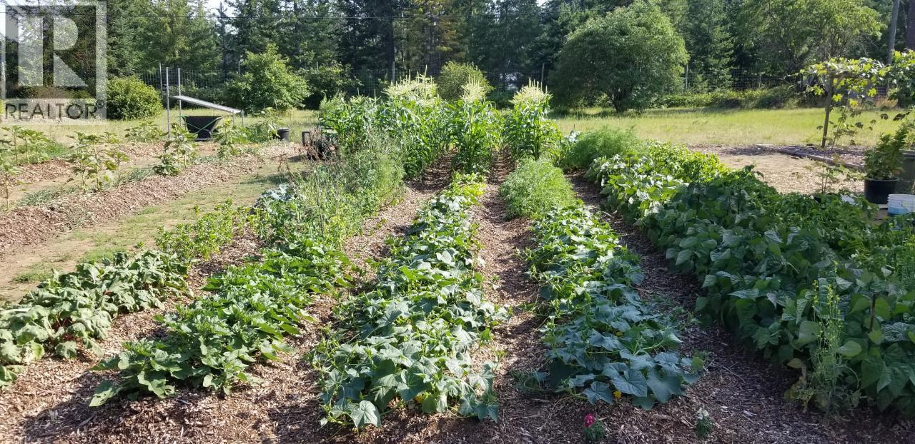 1480 Nighthawk Drive, Castlegar, BC - Outdoor