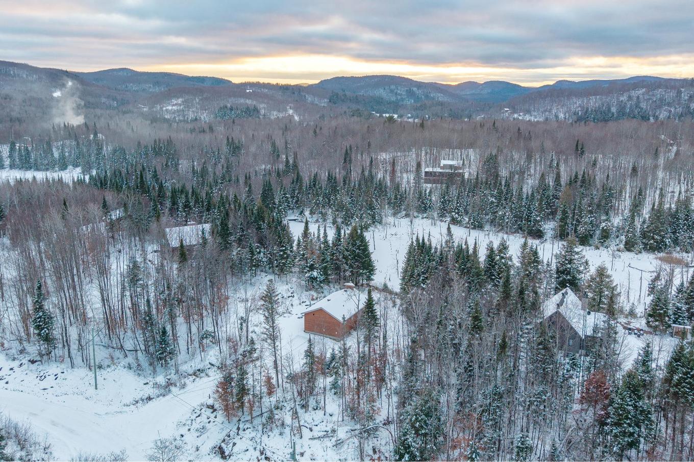 Photo aérienne - 232 Ch. Des Monarques, Amherst, QC - Outdoor With View