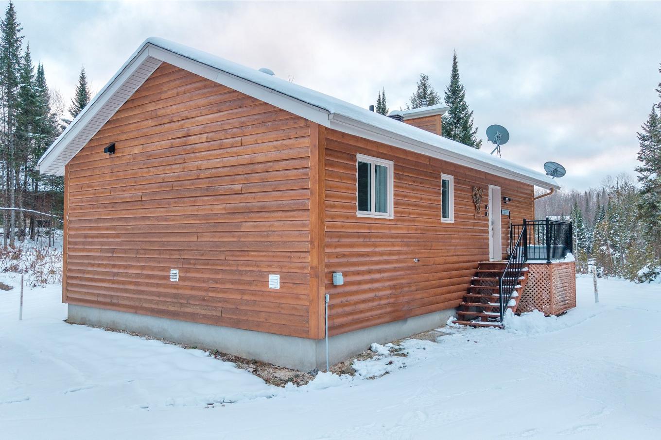 Face arrière - 232 Ch. Des Monarques, Amherst, QC - Outdoor With Exterior