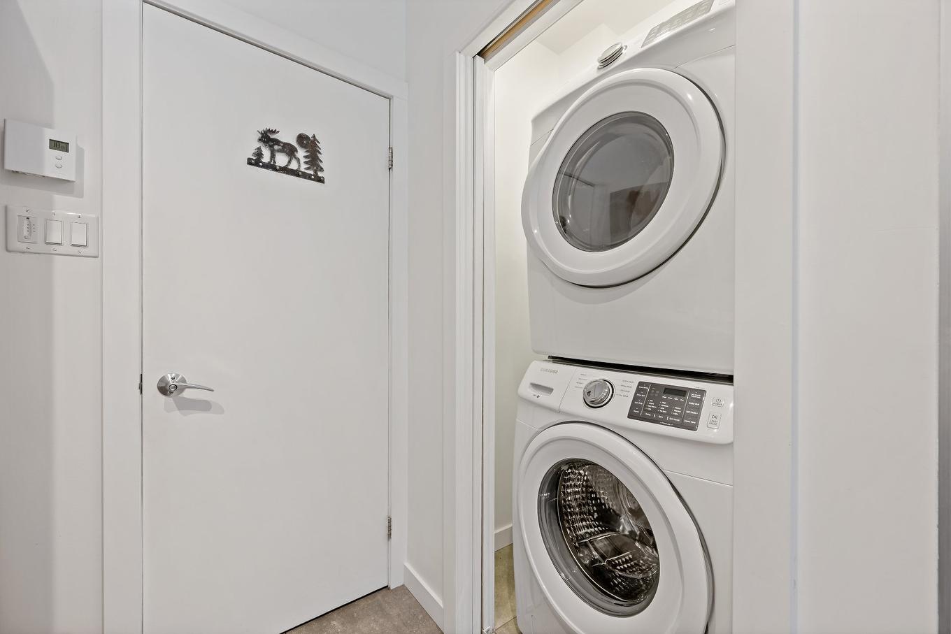 Bathroom - 161 Ch. Du Retour-Aux-Sources, Amherst, QC - Indoor Photo Showing Laundry Room