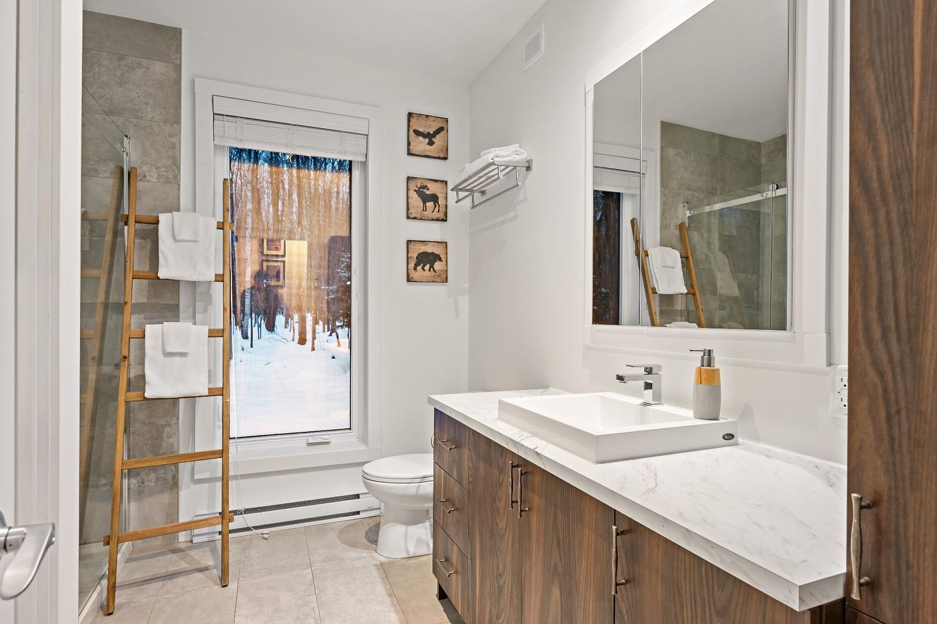 Salle de bains - 171 Ch. Du Retour-Aux-Sources, Amherst, QC - Indoor Photo Showing Bathroom