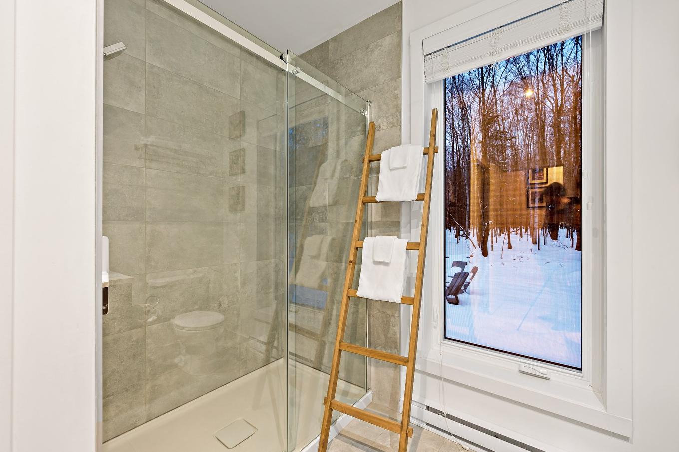Salle de bains - 171 Ch. Du Retour-Aux-Sources, Amherst, QC - Indoor Photo Showing Bathroom