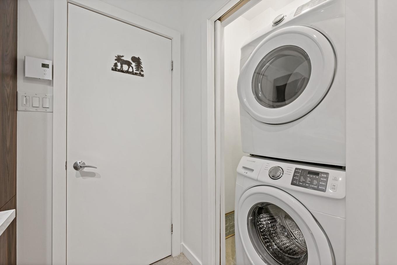Salle de lavage - 171 Ch. Du Retour-Aux-Sources, Amherst, QC - Indoor Photo Showing Laundry Room