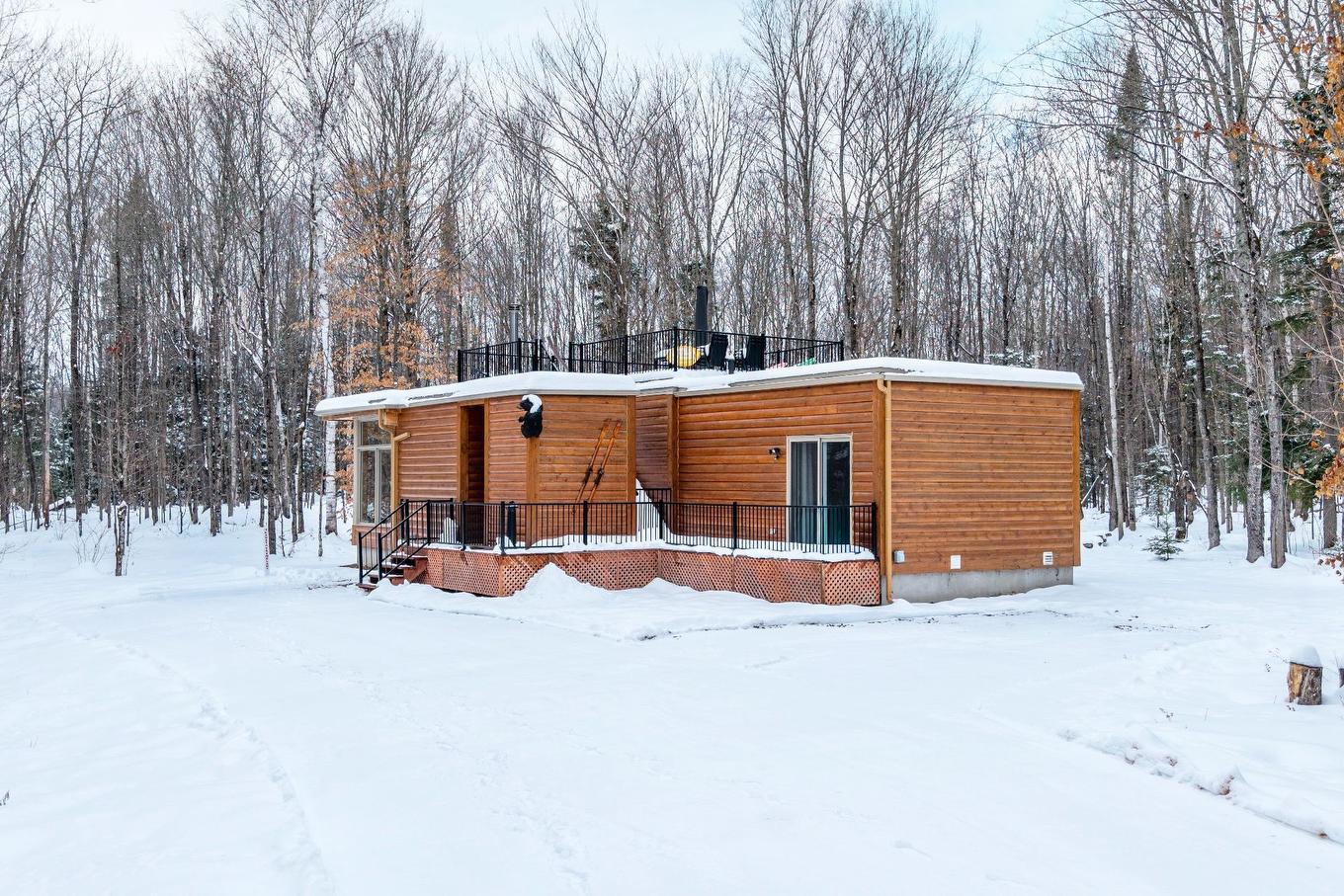 Façade - 171 Ch. Du Retour-Aux-Sources, Amherst, QC - Outdoor