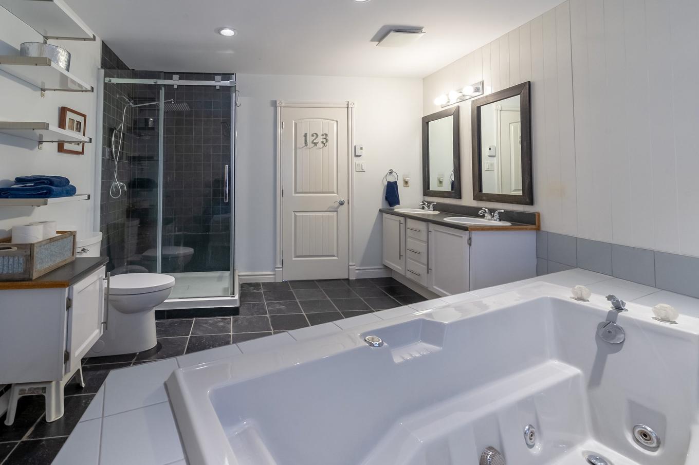 Salle de bains - 895 Rue Ravel, Brossard, QC - Indoor Photo Showing Bathroom