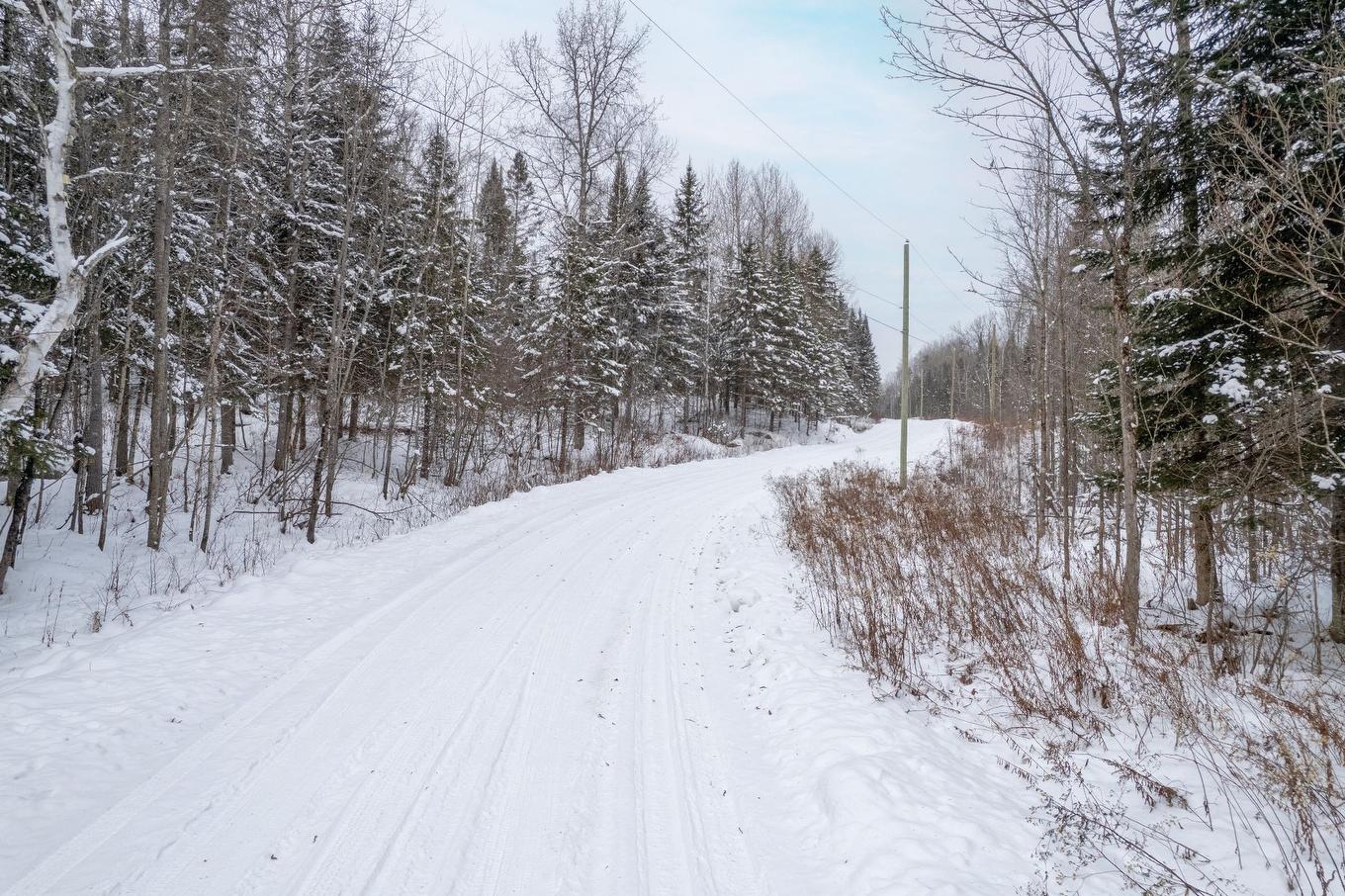 Vue d'ensemble - Ch. De La Nature, La Macaza, QC