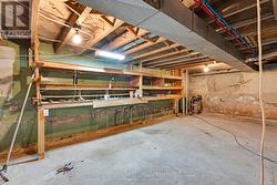 Basement Workship -