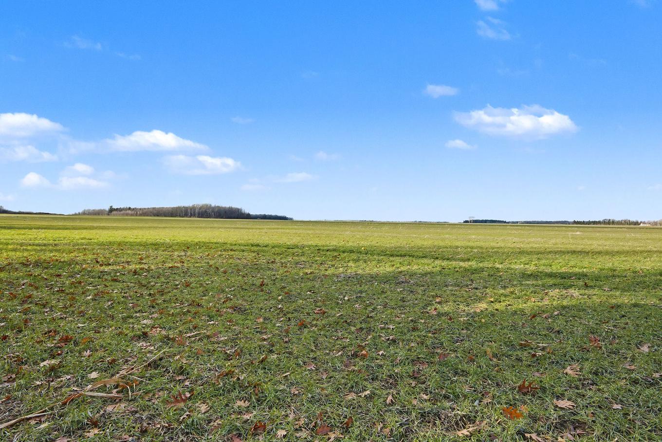 Vue d'ensemble - 480 Rue Brisebois, Saint-Jean-Sur-Richelieu, QC - Outdoor With View