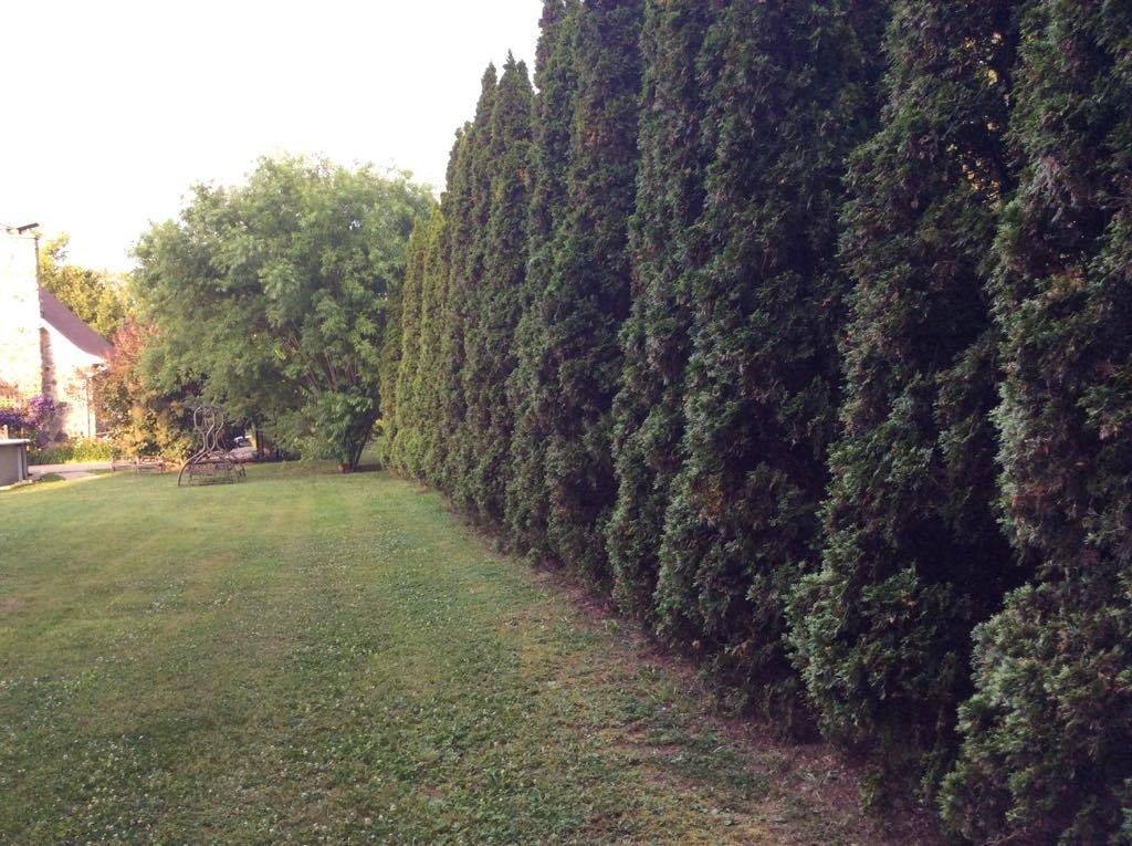 Vue d'ensemble - 480 Rue Brisebois, Saint-Jean-Sur-Richelieu, QC - Outdoor