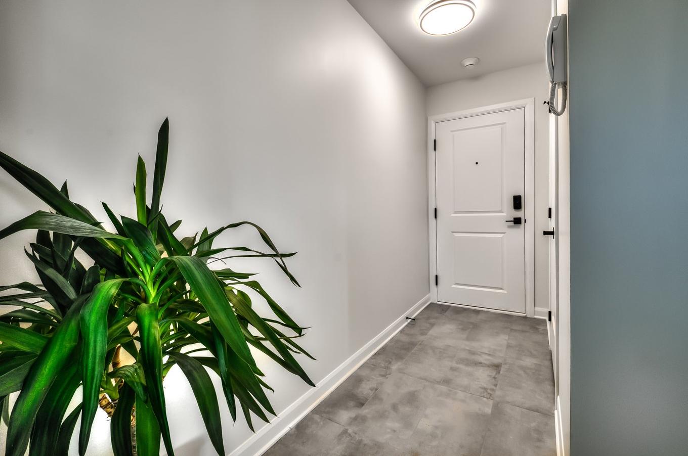 Hall d'entrée/Vestibule - 304-2420 Rue Henriette-Céré, Longueuil (Saint-Hubert), QC