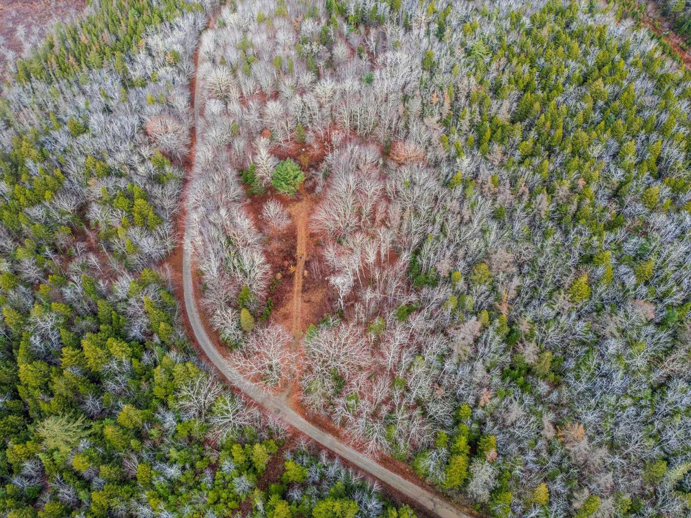 935 Hamilton Road, Raynardton, NS