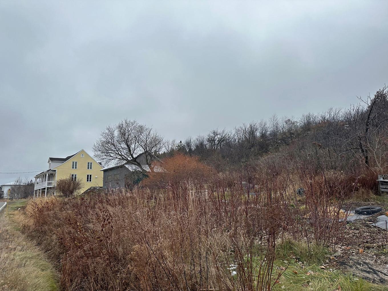 Overall view - 50 Route 132 O., Saint-Denis-De La Bouteillerie, QC - Outdoor With View