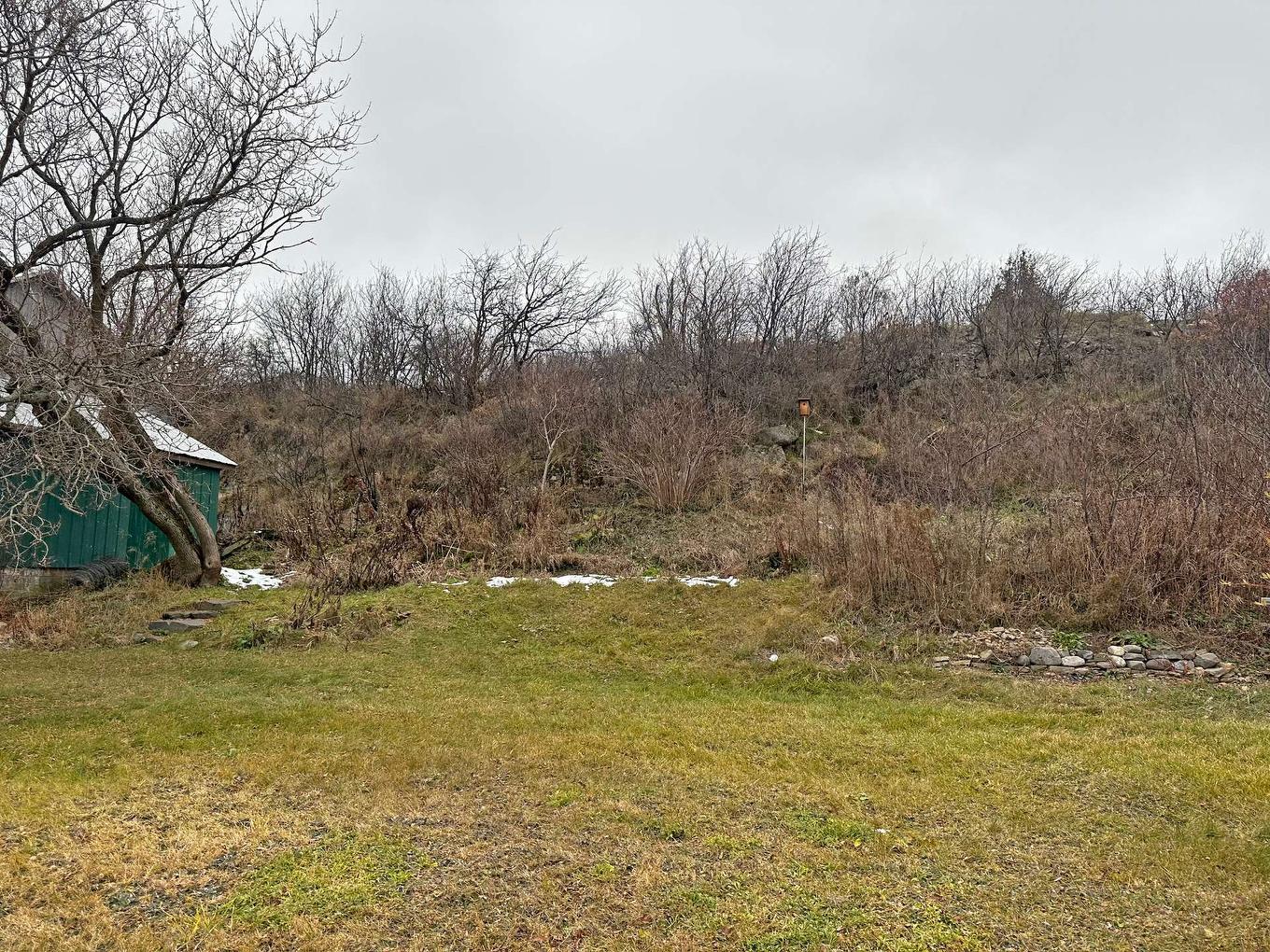 Backyard - 50 Route 132 O., Saint-Denis-De La Bouteillerie, QC - Outdoor With View