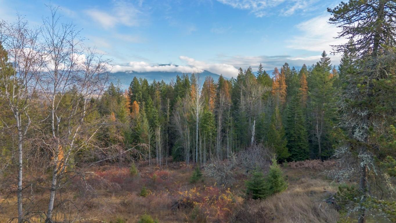 2008 Corn Creek Road, Creston, BC - Outdoor With View