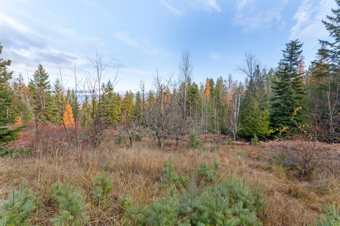 2008 Corn Creek Road, Creston, BC - Outdoor With View