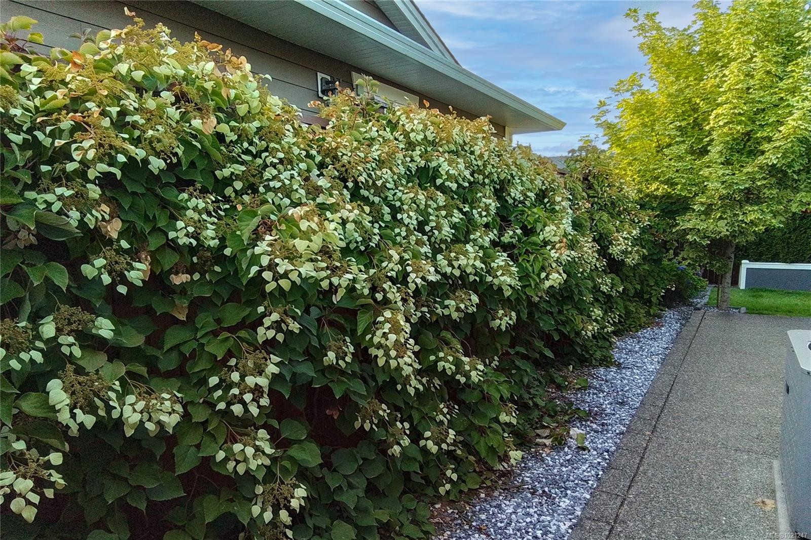 40 Carolina Dr, Campbell River, BC