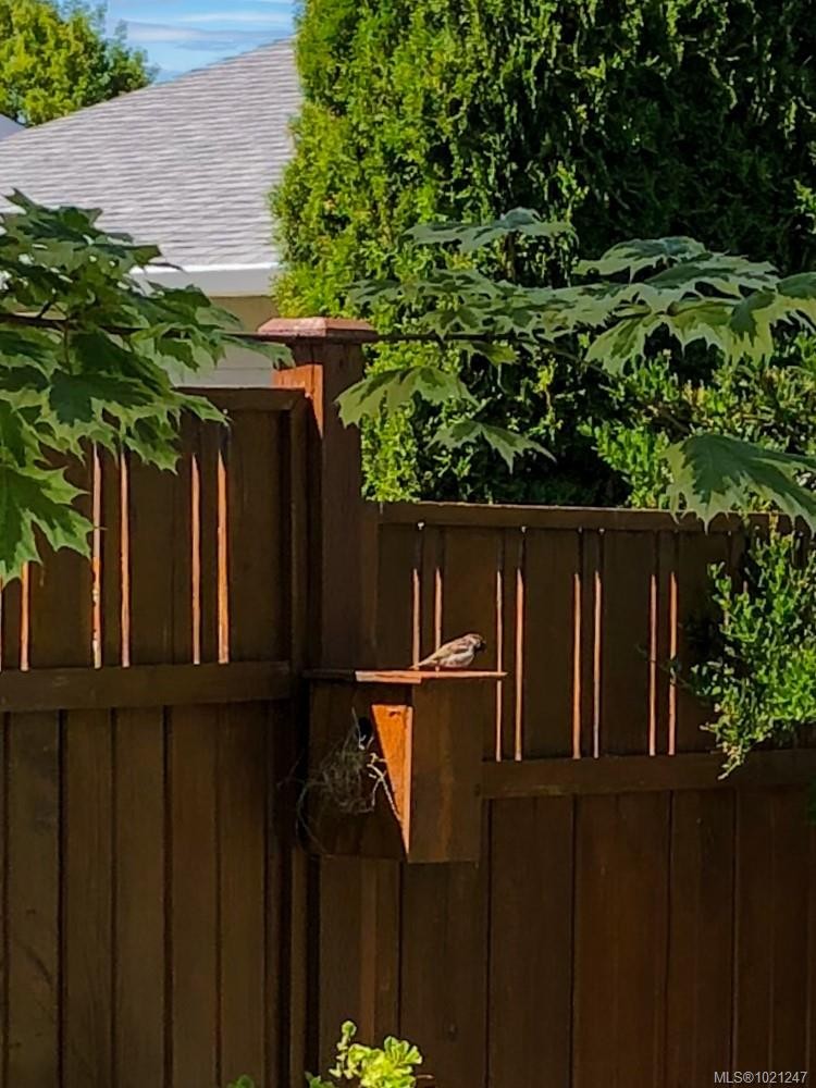 40 Carolina Dr, Campbell River, BC