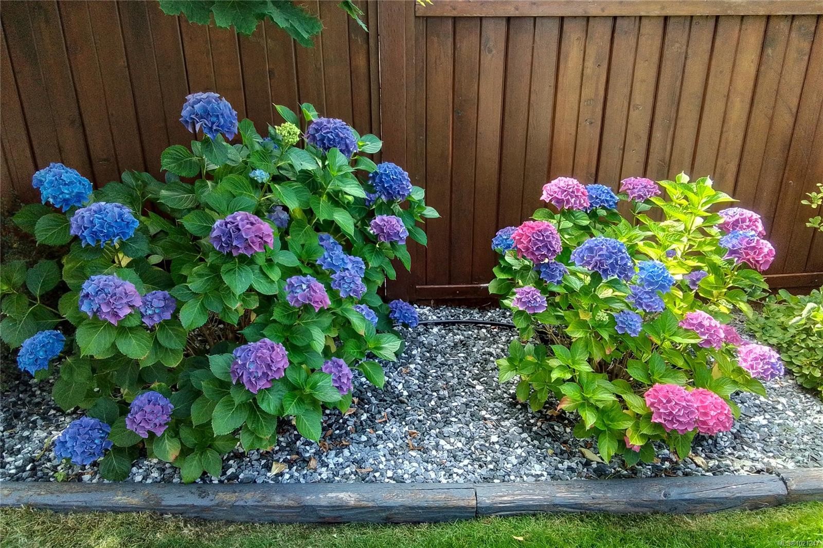 40 Carolina Dr, Campbell River, BC