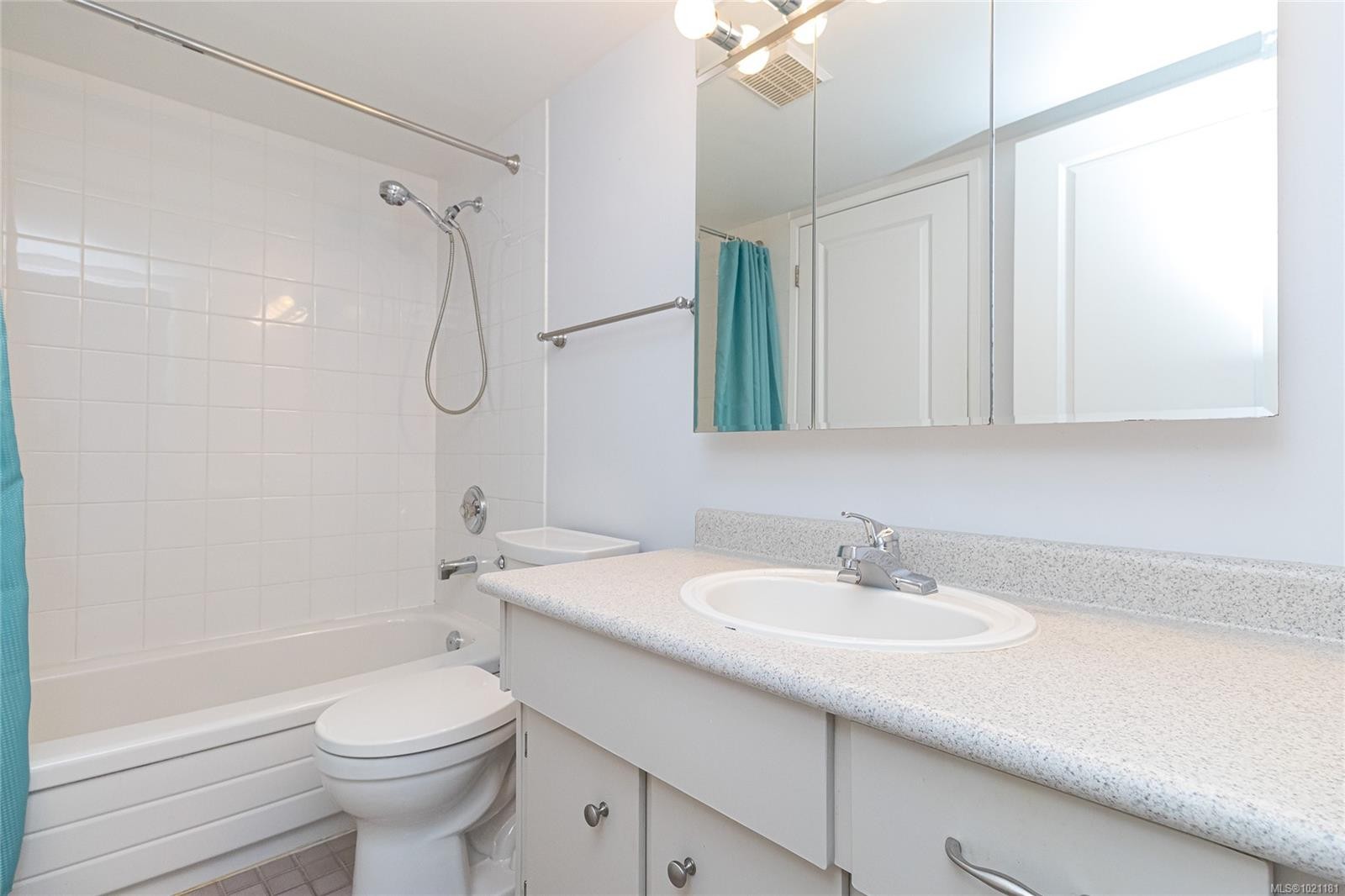 506-69 Gorge Rd West, Saanich, BC - Indoor Photo Showing Bathroom