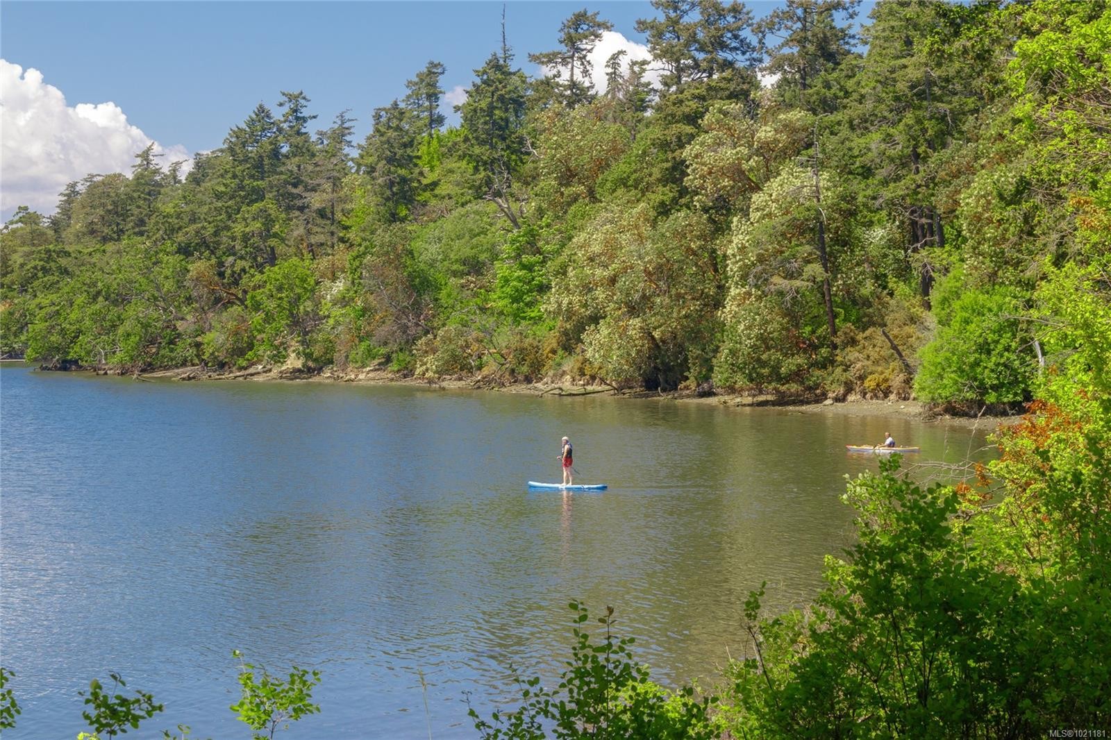 506-69 Gorge Rd West, Saanich, BC - Outdoor With Body Of Water With View