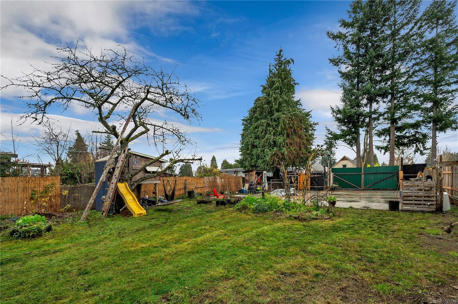 517 Dogwood St, Campbell River, BC