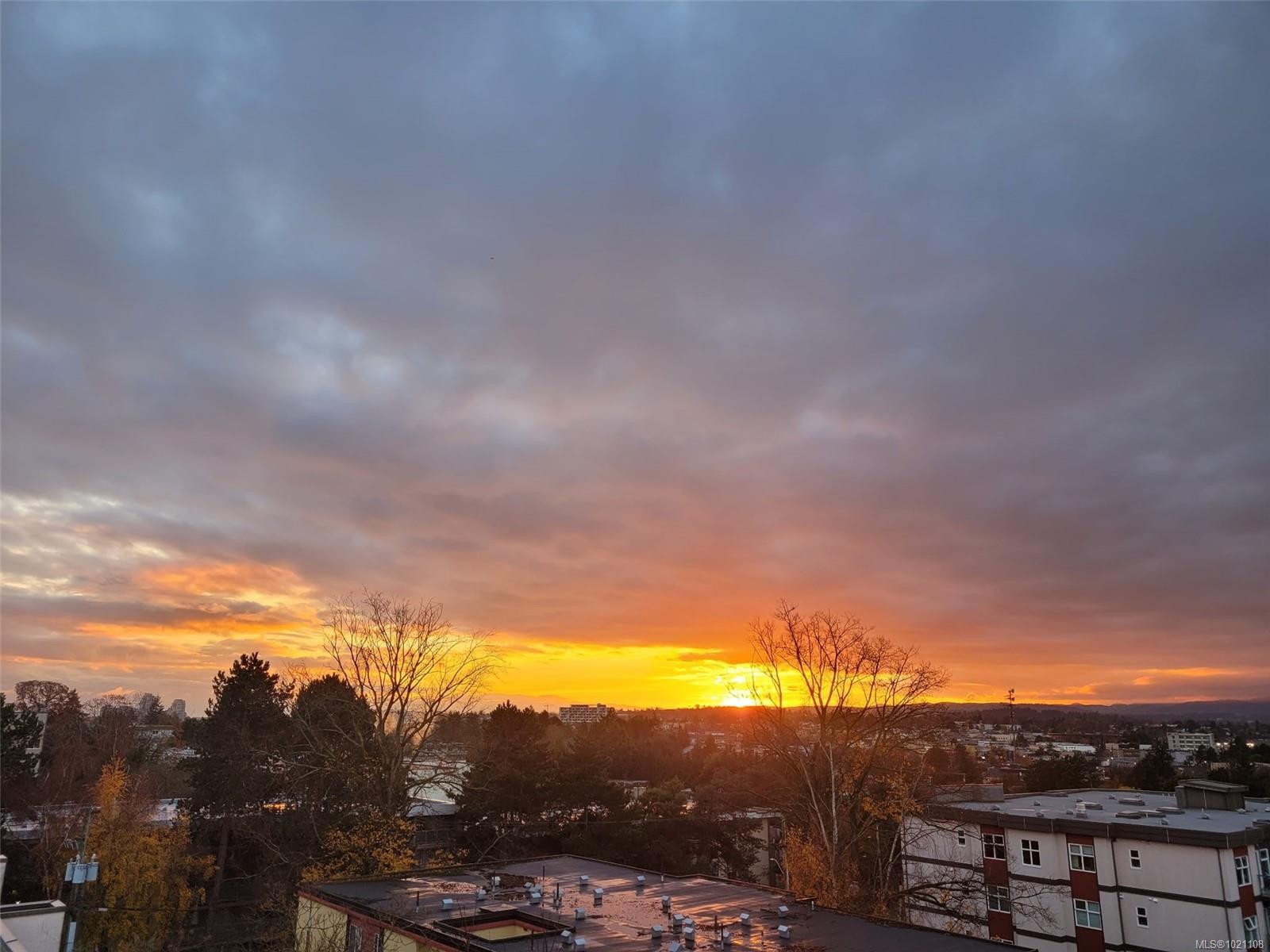 504-1020 Inverness Rd, Saanich, BC - Outdoor With View