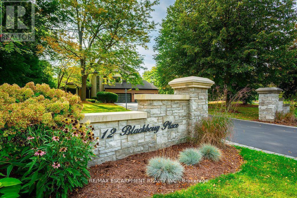 12 Blackberry Place, Hamilton, ON - Outdoor