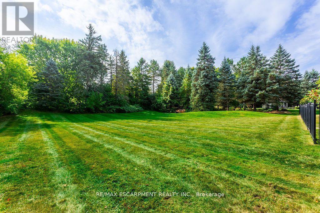 12 Blackberry Place, Hamilton, ON - Outdoor