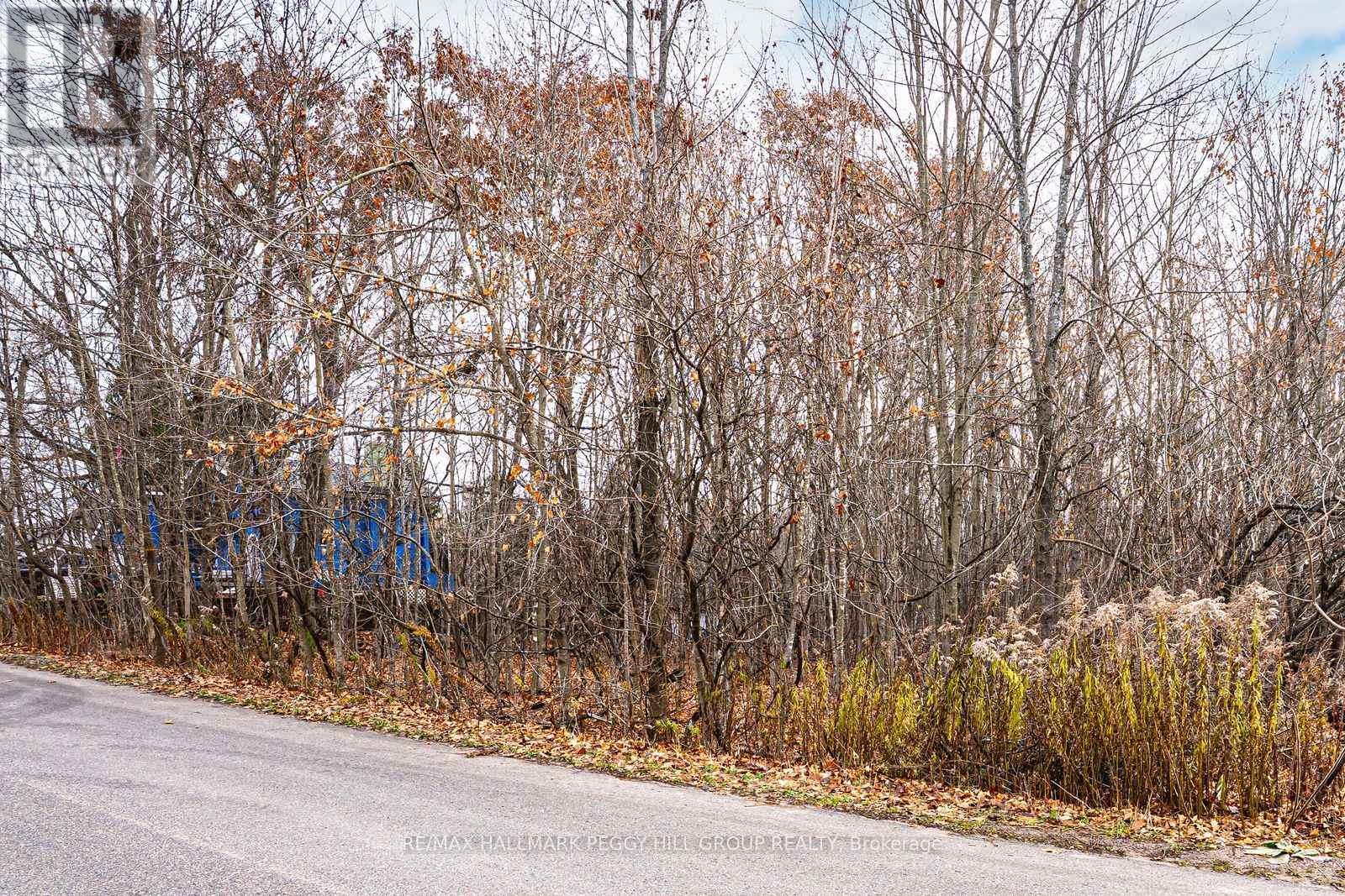 17 Valleyview Drive, Oro-Medonte, ON