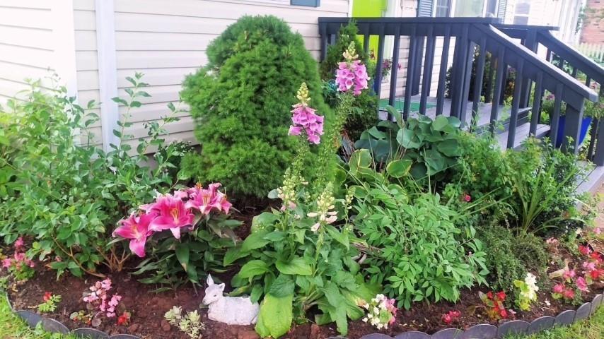 77 Russell Street, Summerside, PE