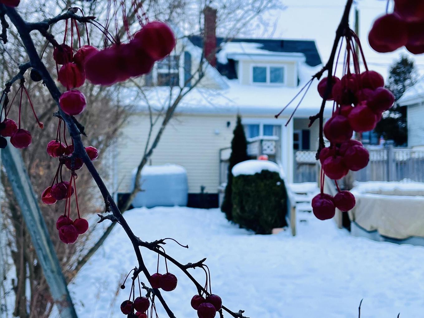 77 Russell Street, Summerside, PE