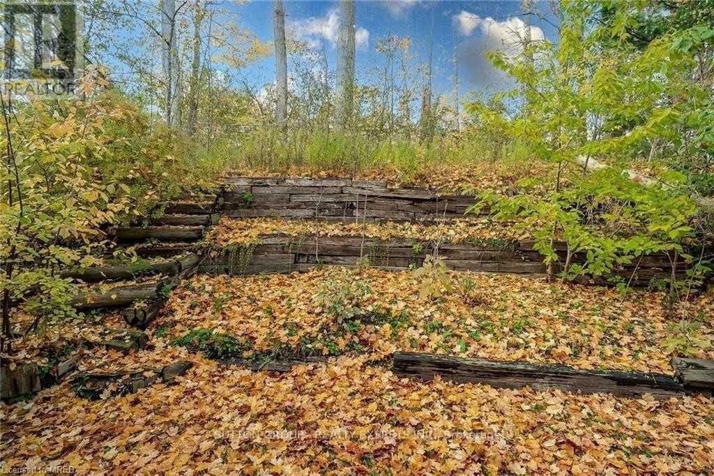 Basement - 218 Ingleside Place, Kitchener, ON - Outdoor With View
