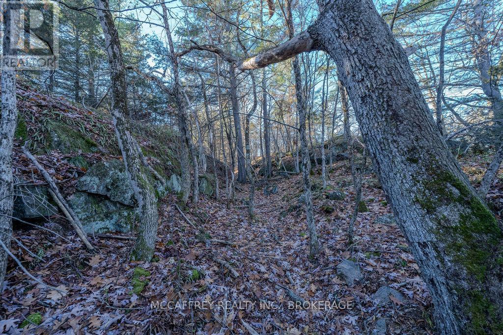 Lot 5 Hinterland Lane, Frontenac (Frontenac South), ON