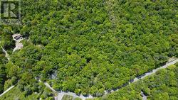 162 BONNEVILLE ROAD Georgian Bay (Baxter), ON L0K 1S0