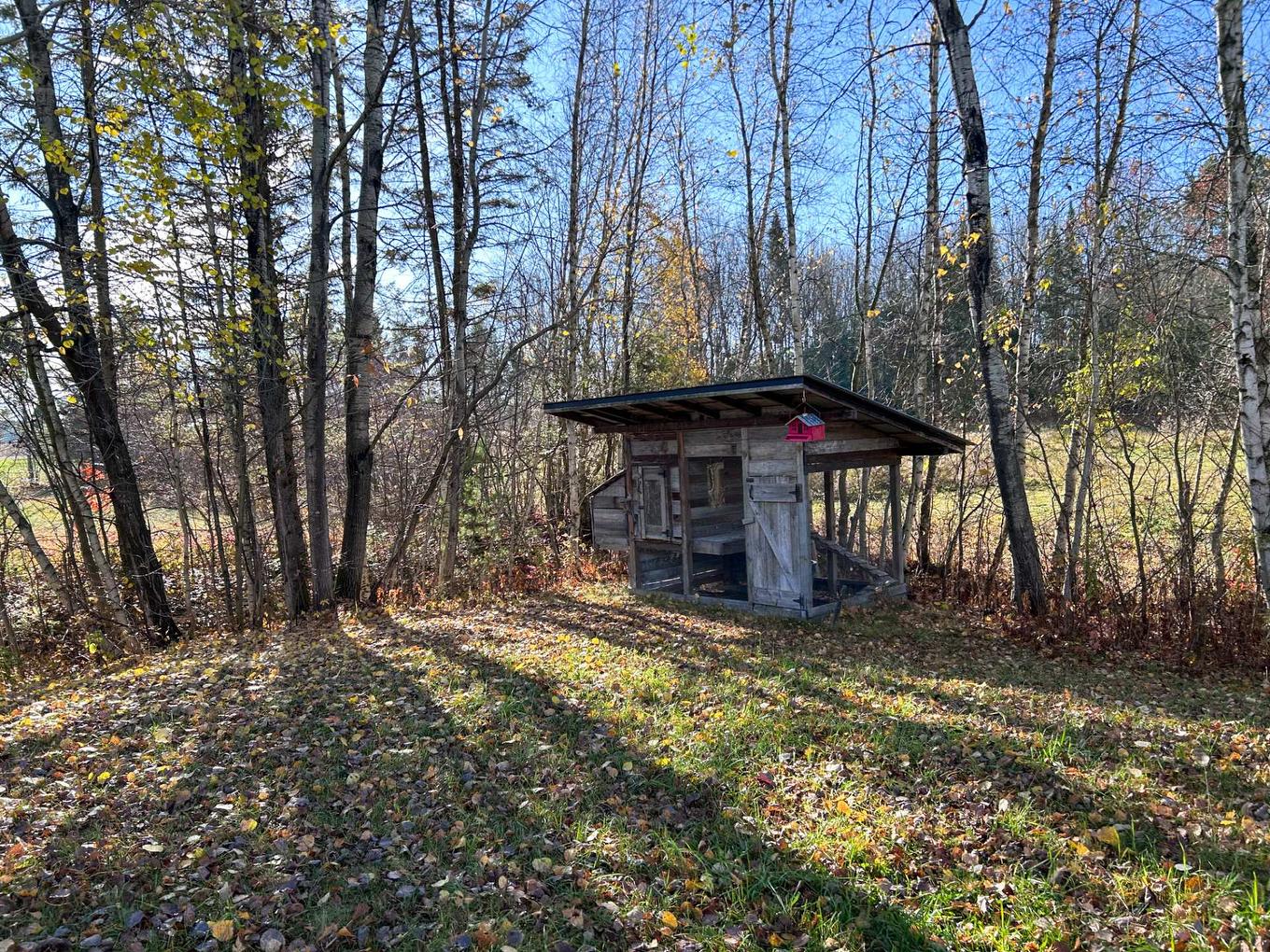 Backyard - 4845Z 7E Rang, Saint-Lucien, QC - Outdoor