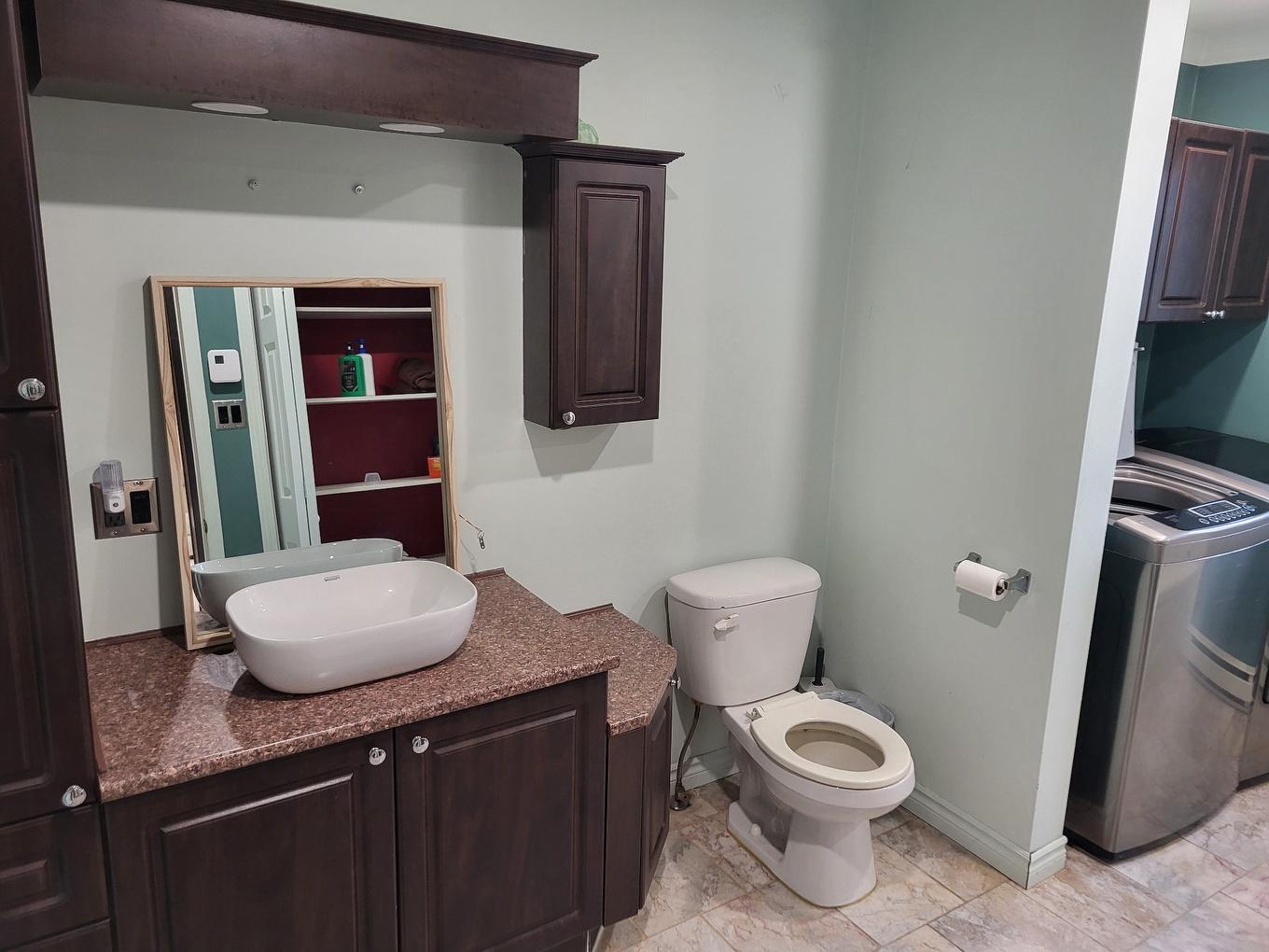 Salle de bains - 19 Rue Potvin, Saint-Jacques-Le-Mineur, QC - Indoor Photo Showing Bathroom