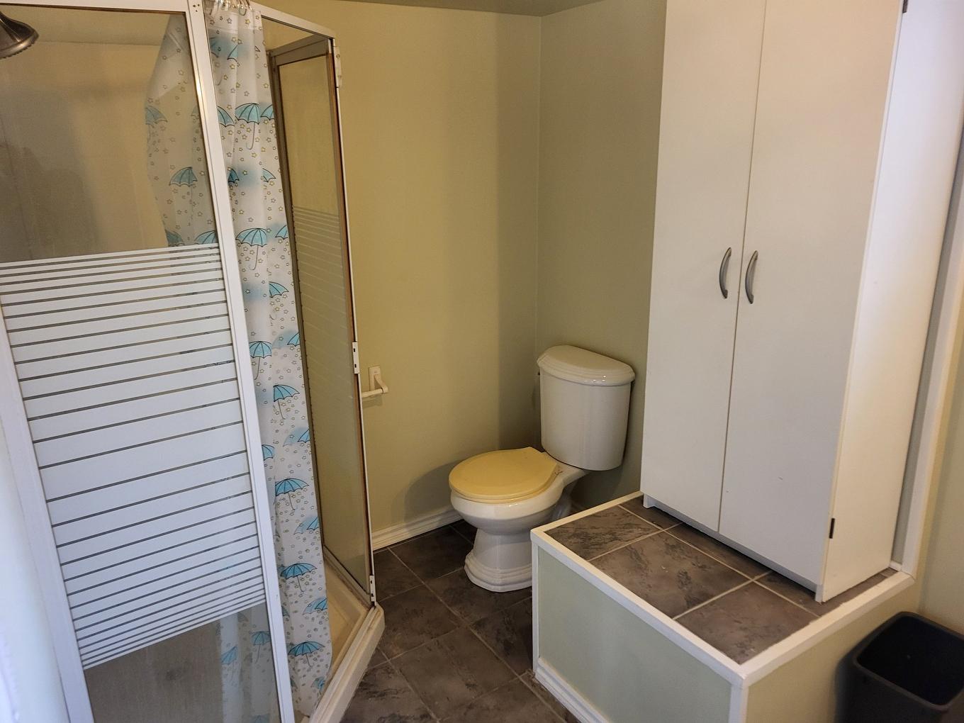 Salle de bains - 19 Rue Potvin, Saint-Jacques-Le-Mineur, QC - Indoor Photo Showing Bathroom