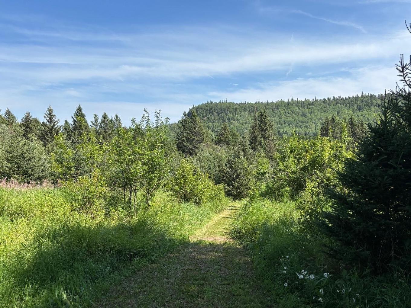 0 Hwy 608, Gillies, ON