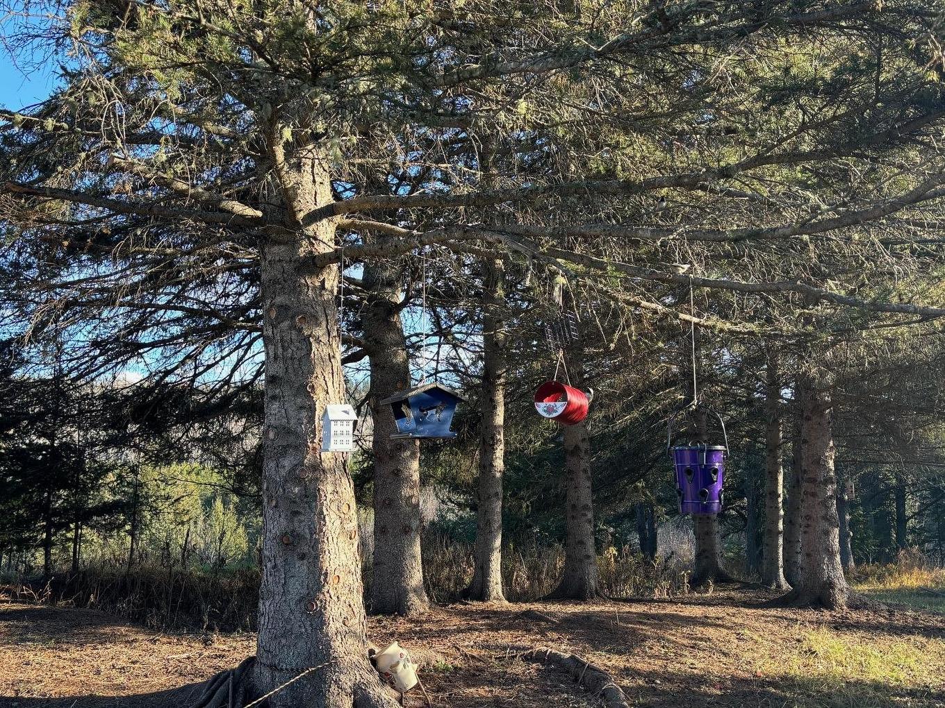 0 Hwy 608, Gillies, ON