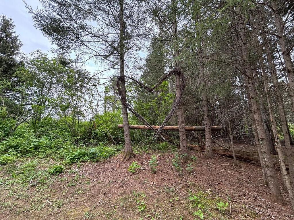 0 Hwy 608, Gillies, ON