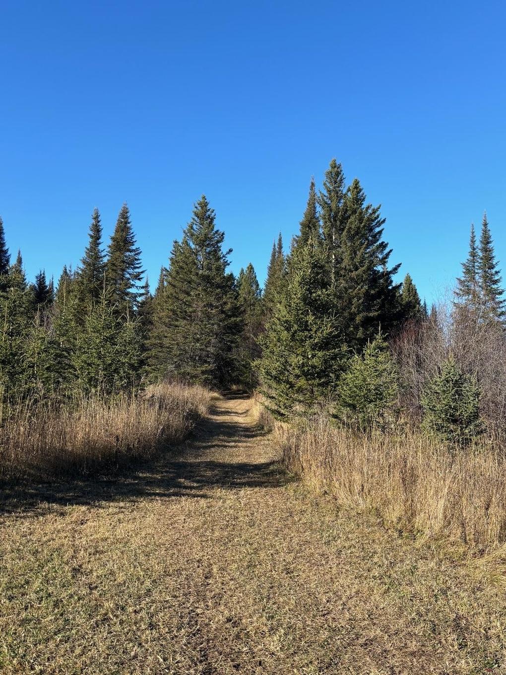 0 Hwy 608, Gillies, ON