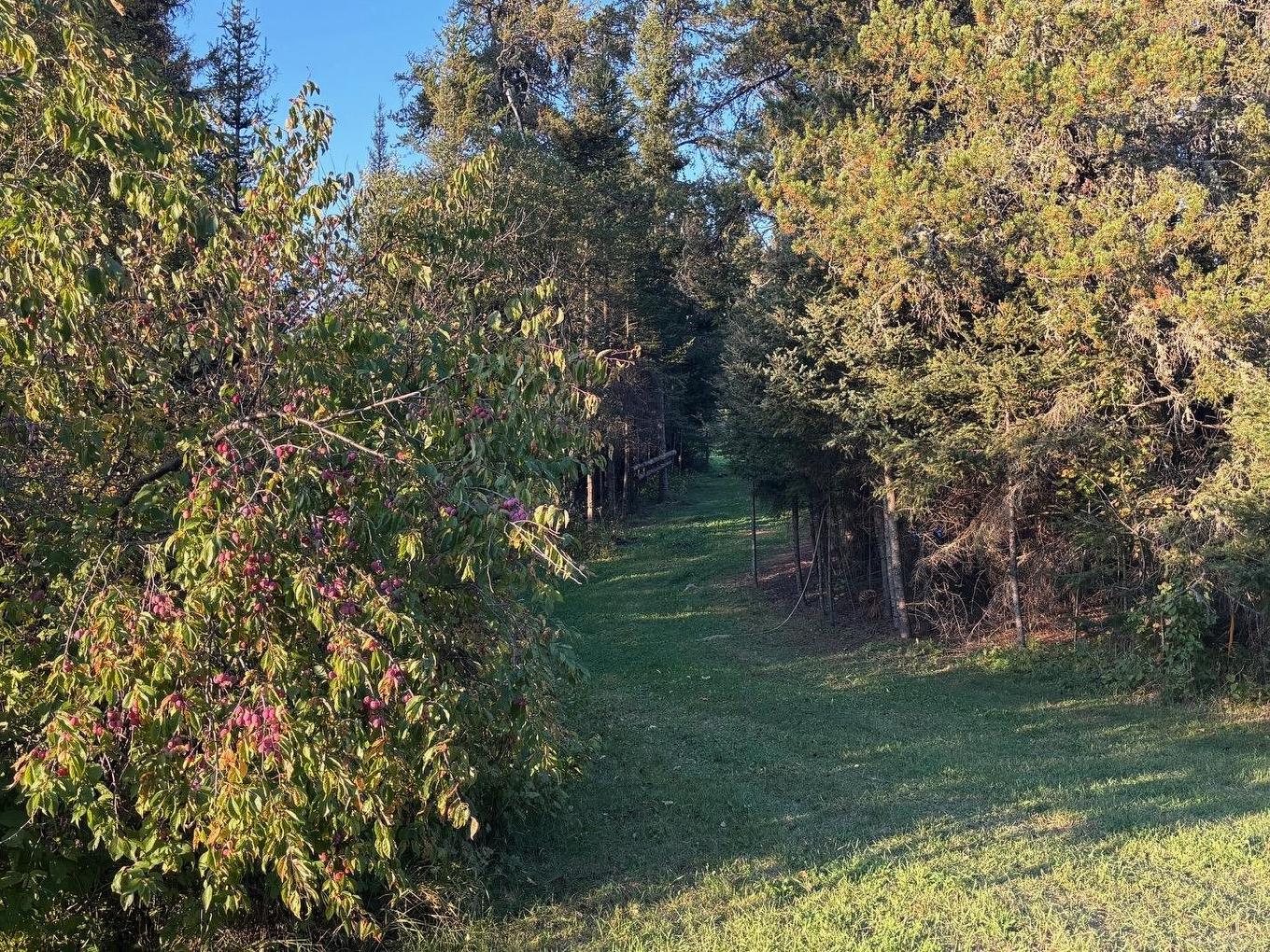 0 Hwy 608, Gillies, ON